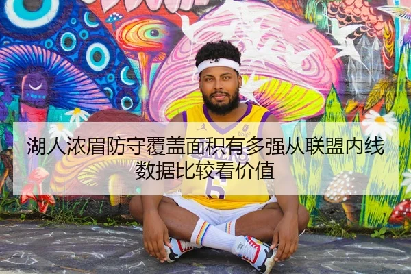 湖人浓眉防守覆盖面积有多强从联盟内线数据比较看价值